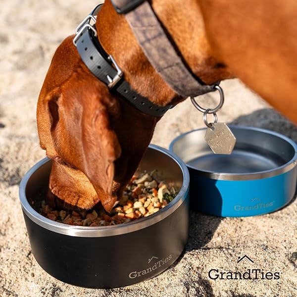 GRANDTIES GrandTies 64oz Stainless Steel Dog Bowl - Engraved, BPA-Free, Non-Skid, Heavy Duty & Insulated for Outdoor Use - View 11 of 11