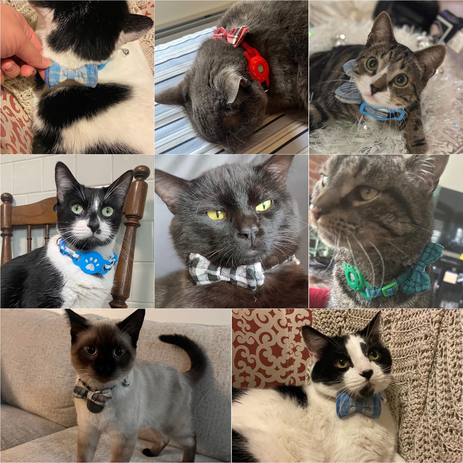 DILLYBUD DILLYBUD Airtag Cat Collar with Bells and Bowtie Adjustable Safety Elastic Kitten Collar for Apple Air Tag Holder in Beige - View 7 of 7