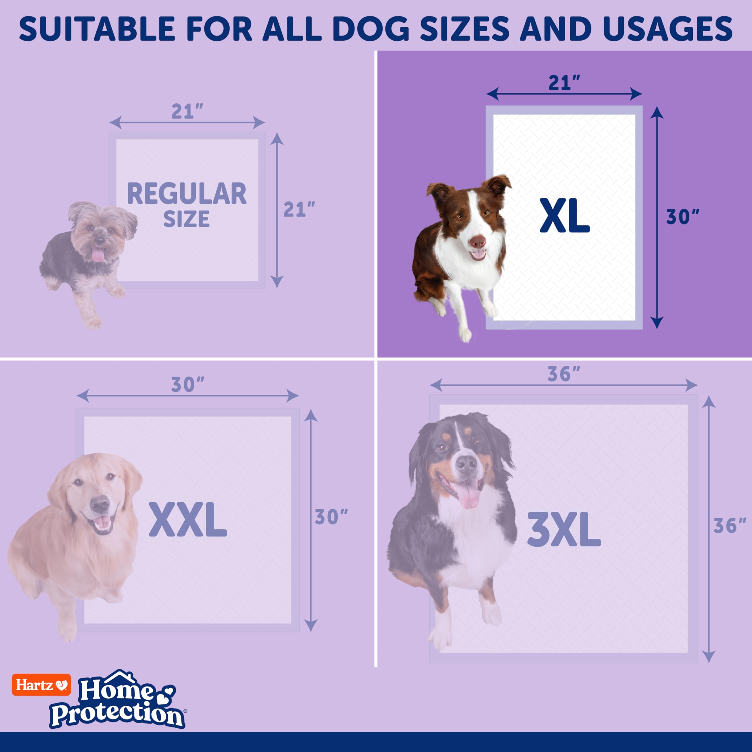 Hartz Hartz Home Protection Lavender Scented Dog Pads XL 60 Count Super Absorbent Odor Eliminating Leak Proof - View 7 of 9