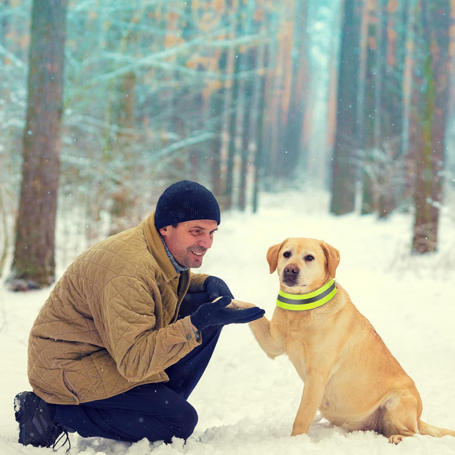Paterr Paterr Reflective Dog Collar Set Adjustable High Visibility Collars with Quick Release for Small Medium Large Dogs Orange Fluorescent Green - View 5 of 7