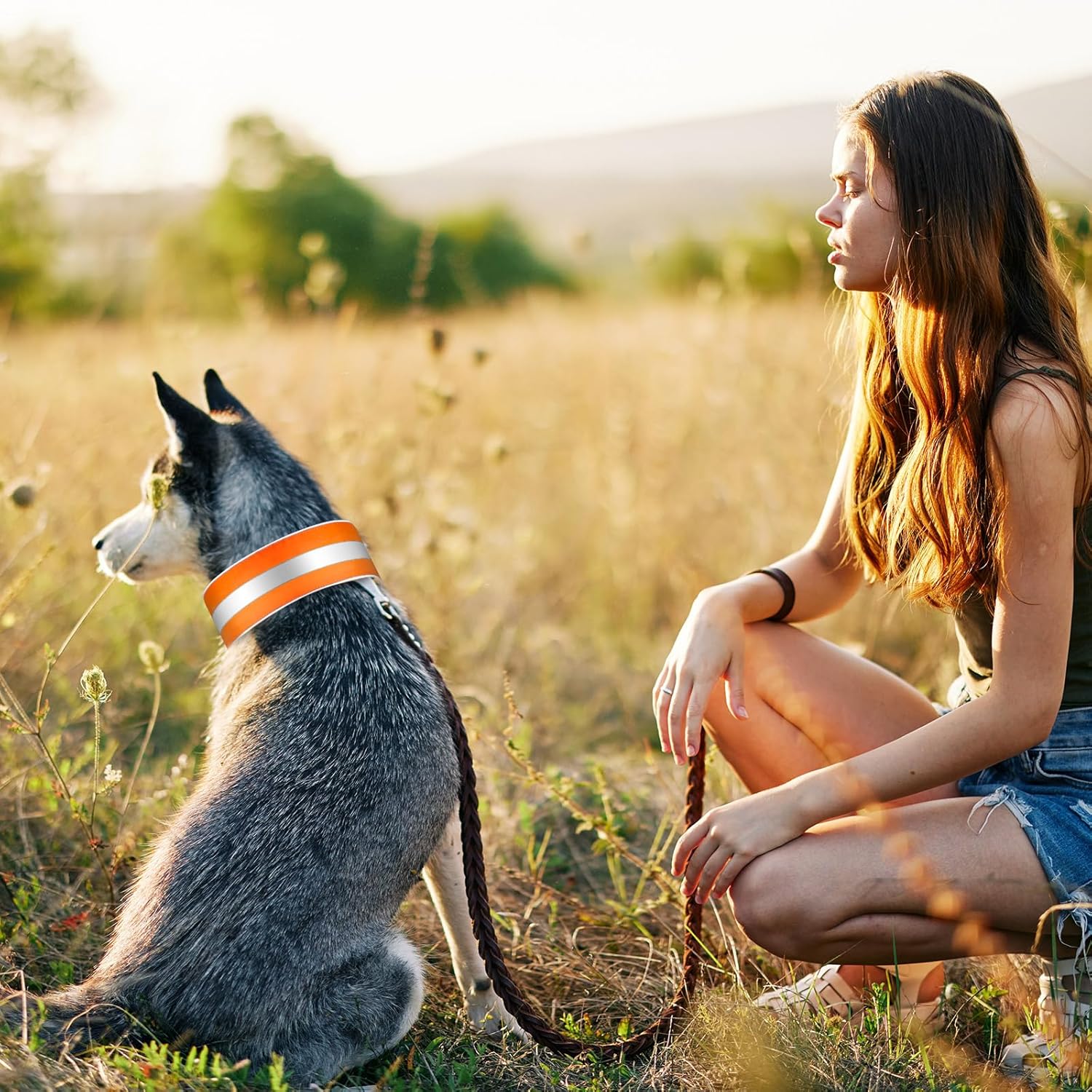 Paterr Paterr Reflective Dog Collar Set Adjustable High Visibility Collars with Quick Release for Small Medium Large Dogs Orange Fluorescent Green - View 6 of 7