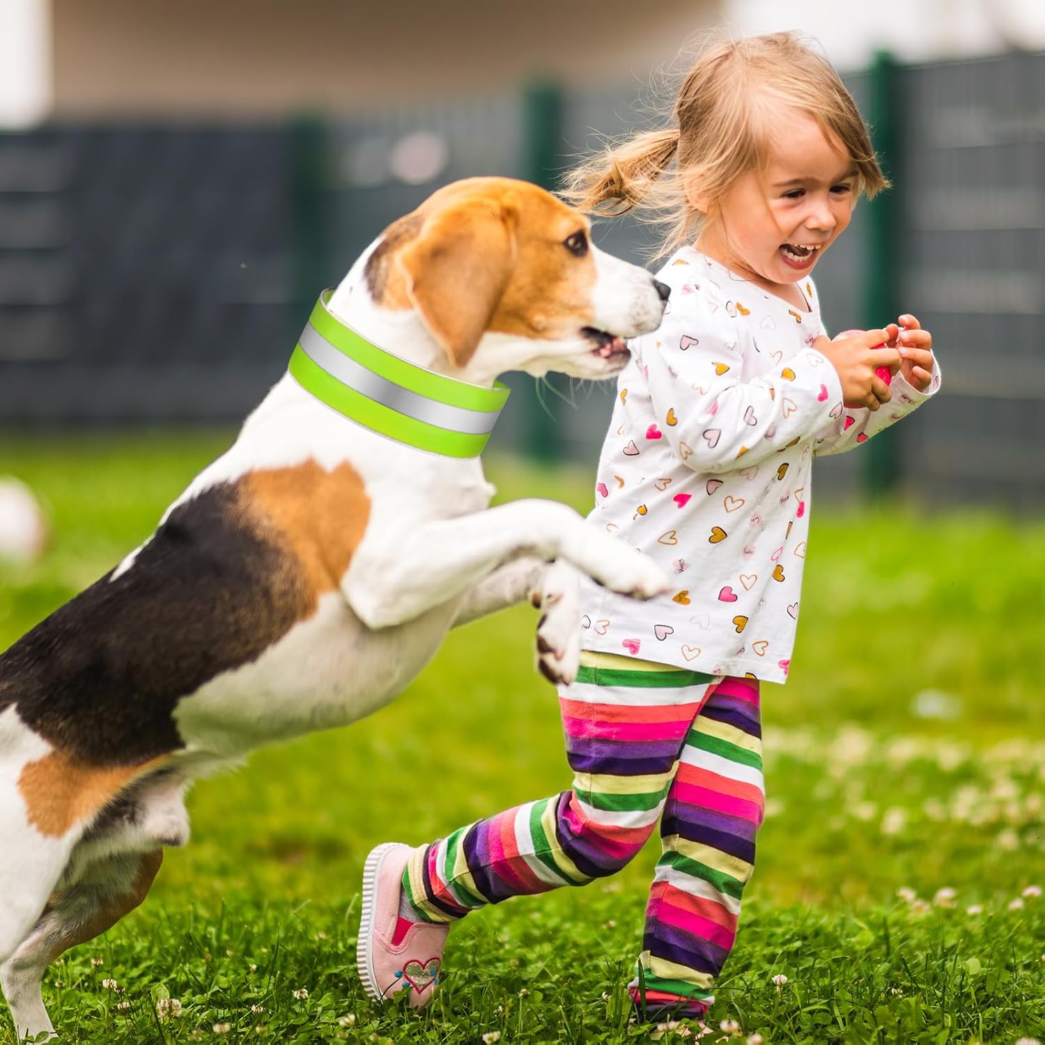 Paterr Paterr Reflective Dog Collar Set Adjustable High Visibility Collars with Quick Release for Small Medium Large Dogs Orange Fluorescent Green - View 7 of 7