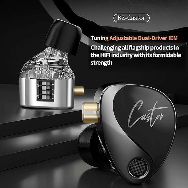 H HIFIHEAR High-End KZ Castor 2DD Dynamic IEM Earphones for Musicians & DJs - Tunable In-Ear Monitors with Detachable Cable (Black) - View 8 of 10