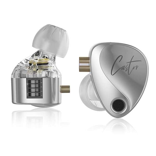 Buy KZ Castor HiFi 2DD Dynamic IEM Earphones - Tunable In-Ear Monitors for Musicians & DJs (Silver, Detachable Cable)