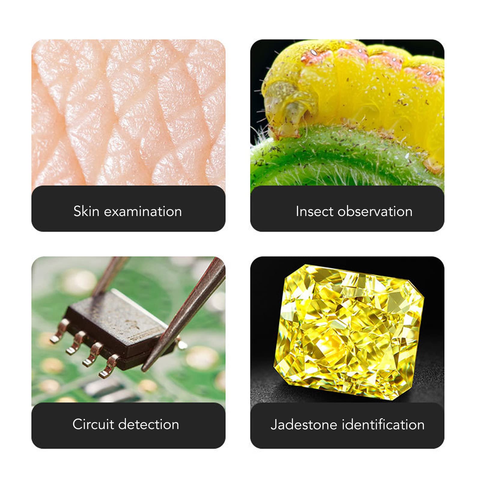 Marhynchus Handheld Digital Microscope 3 in 1 with HD 1600X Image WiFi Connection and USB Port for Easy Viewing and Sharing - View 5 of 9