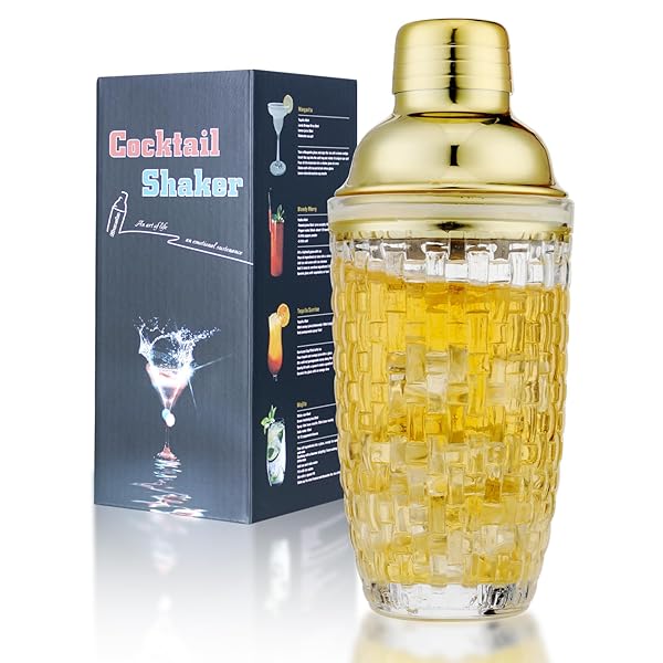 Gbuxska Gbuxska Cocktail Shaker Set with Jigger Mixing Spoon and Muddler Ideal for Home Bar Accessories and Making Cocktails and Protein Shakes Silver