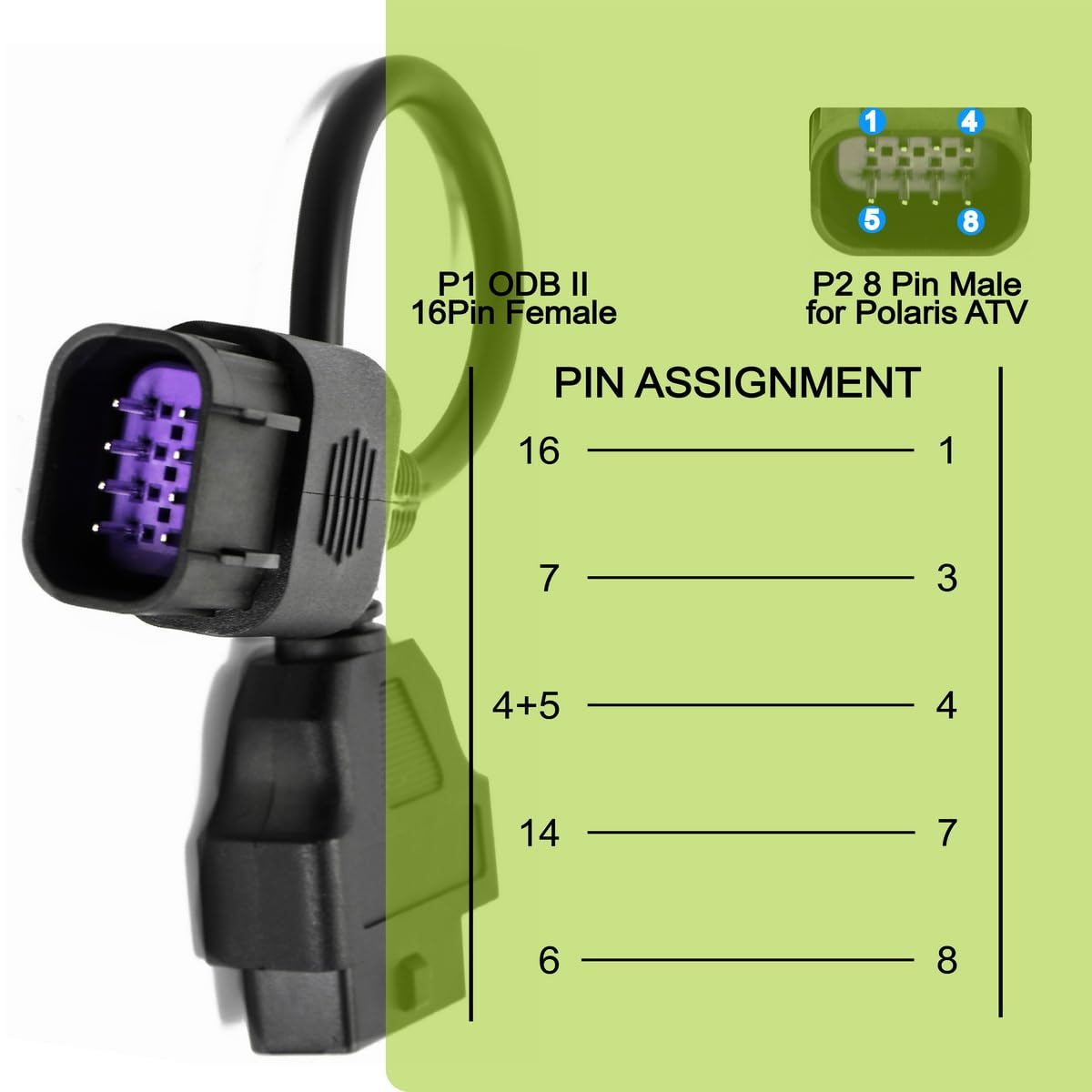 Goliton - View 4 of 6