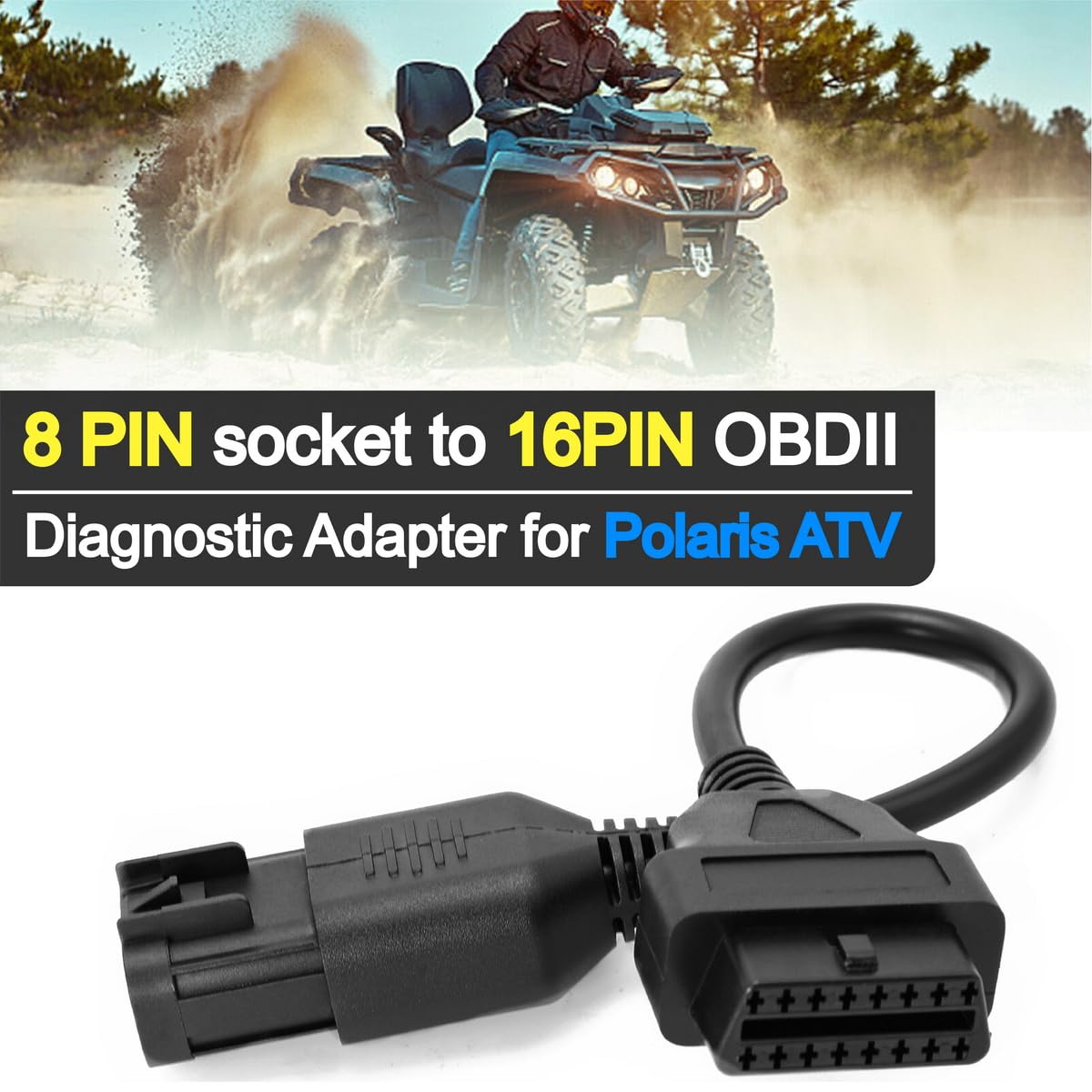 Goliton - View 5 of 6