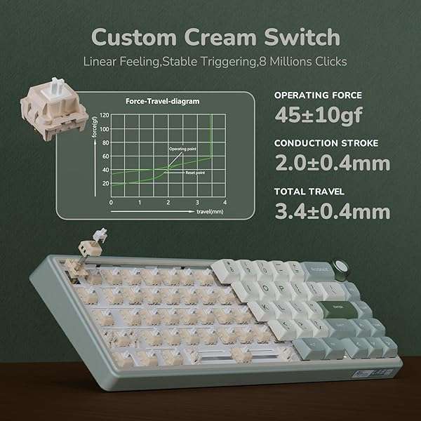 RK ROYAL KLUDGE RK Royal Kludge R65: 60% RGB Mechanical Keyboard with Volume Knob, Hot Swappable Cream Switches & PBT Keycaps - View 9 of 11