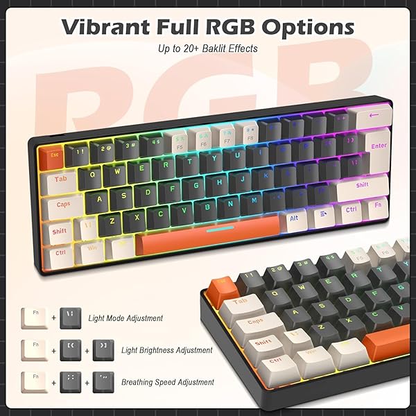 SELORSS RK-T60 Wired 60% TKL Mechanical Gaming Keyboard with Rainbow Backlight Ultra Compact NKRO Linear Red Switch for Windows Laptop PS4 PC Gamer - View 11 of 11