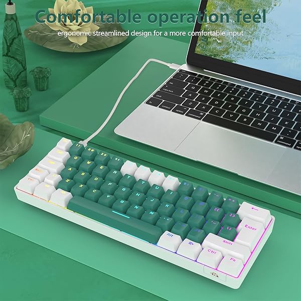 SELORSS RK-T60 Wired 60 Percent TKL Mechanical Gaming Keyboard with Rainbow Backlight Ultra Compact NKRO Linear Red Switch for Windows PS4 PC Gamer - View 6 of 11