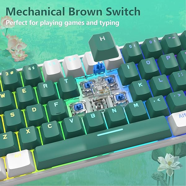 SELORSS RK-T60 Wired 60 Percent TKL Mechanical Gaming Keyboard with Rainbow Backlight Ultra Compact NKRO Linear Red Switch for Windows PS4 PC Gamer - View 7 of 11