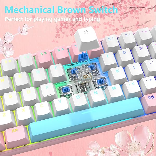 SELORSS RK-T60 Wired 60% TKL Mechanical Gaming Keyboard with Rainbow Backlight and Coiled Aviator Cable for Windows Laptop PS4 PC Gamer - View 7 of 11