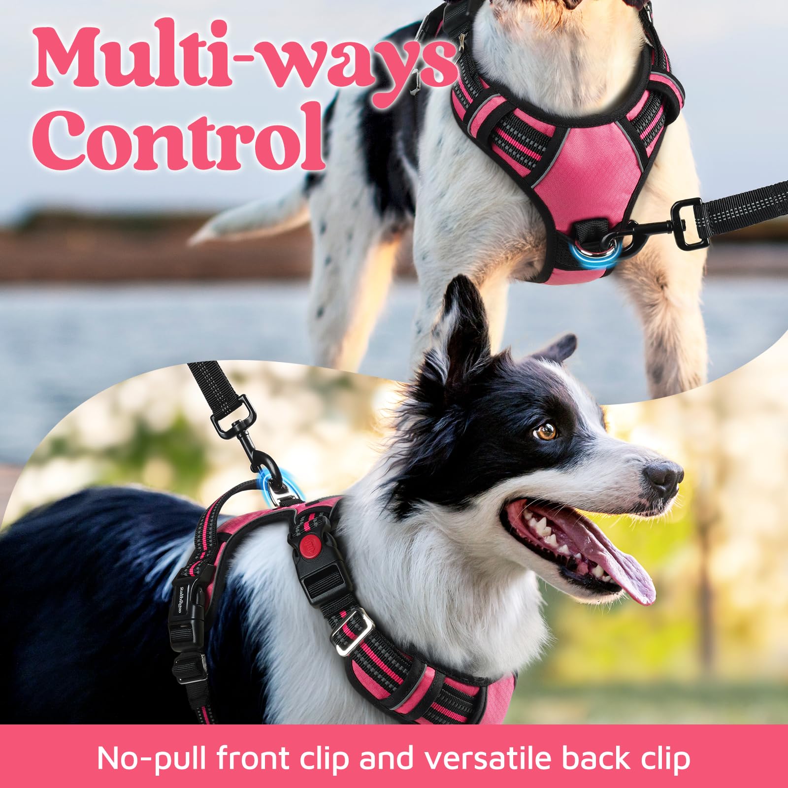 rabbitgoo Rabbitgoo Medium Dog Harness No Pull Adjustable Soft Padded Vest with 3 Buckles Easy Control Handle and Reflective Strips Pink M - View 3 of 8