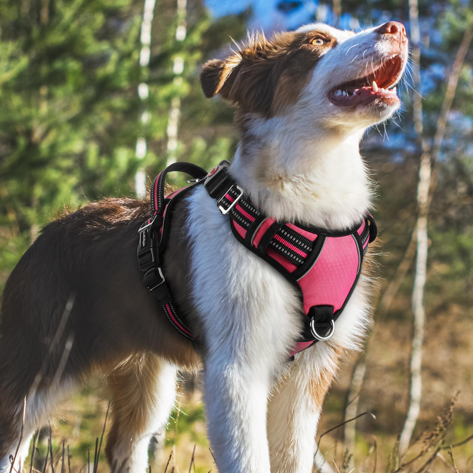rabbitgoo Rabbitgoo Medium Dog Harness No Pull Adjustable Soft Padded Vest with 3 Buckles Easy Control Handle and Reflective Strips Pink M - View 8 of 8