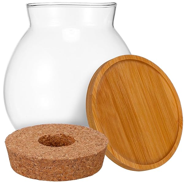 Beaupretty Beaupretty Clear Glass Desktop Fish Bowl with Wood Lid and Bamboo Stand Small Aquarium for Betta Fish and Plants