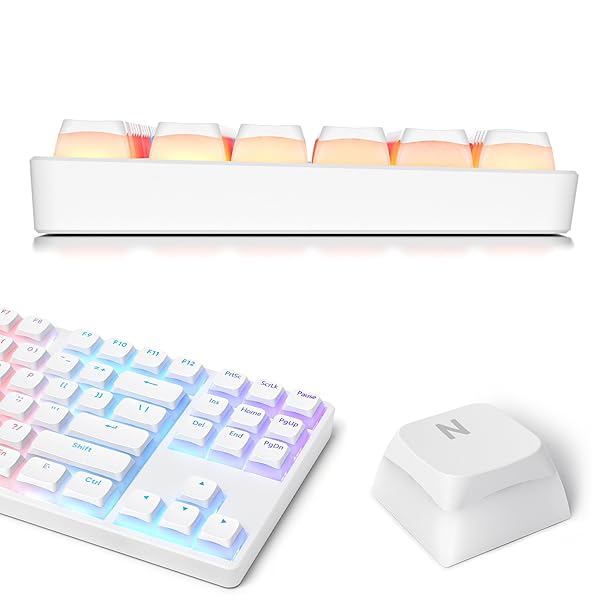 iTastatur iTastatur Pudding Keycaps PBT Double Shot XDA Profile for 60% 65% 75% Mechanical Keyboards White Gaming Keycaps - View 5 of 9