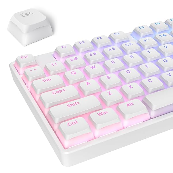 iTastatur iTastatur Pudding Keycaps PBT Double Shot XDA Profile for 60% 65% 75% Mechanical Keyboards White Gaming Keycaps
