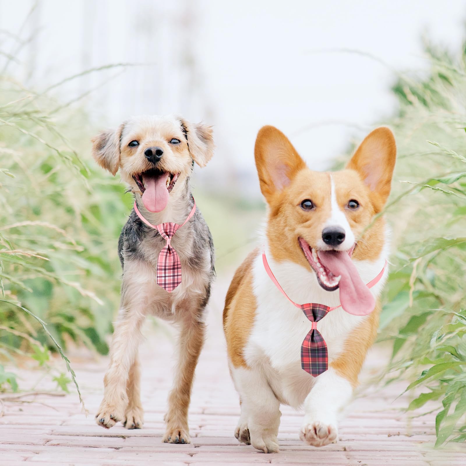 Segarty Segarty Small Dog Ties 80 PCS Adjustable Assorted Pattern Bow Ties for Small Dogs Cats Grooming Puppy Neckties Holiday Costumes Gift - View 6 of 7