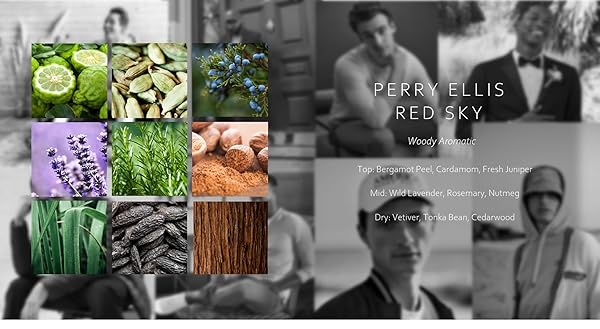 Perry Ellis Buy Perry Ellis Red Sky Eau de Toilette 3.4 fl oz - Fresh Fragrance for Men - View 4 of 5