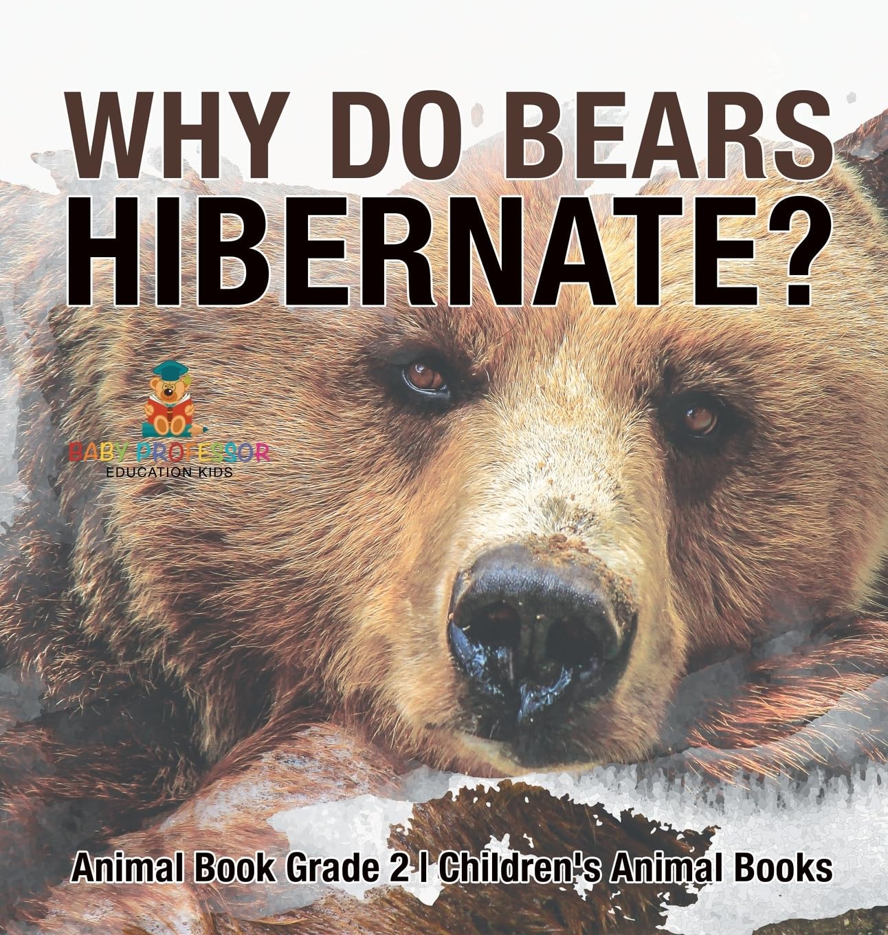 Baby Professor Why Do Bears Hibernate Animal Book for Grade 2 Engaging Children's Animal Books